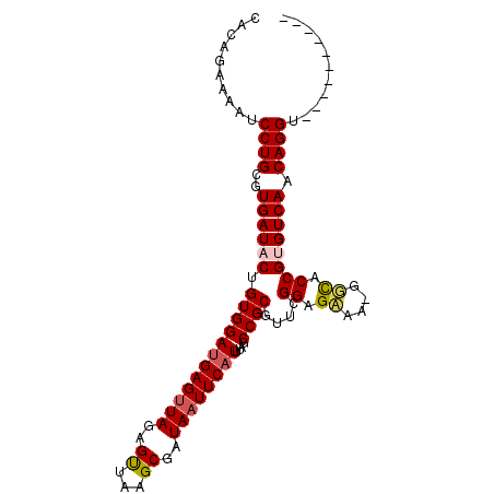 secondary structure