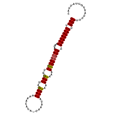 secondary structure