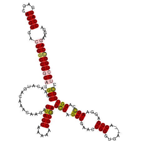 secondary structure