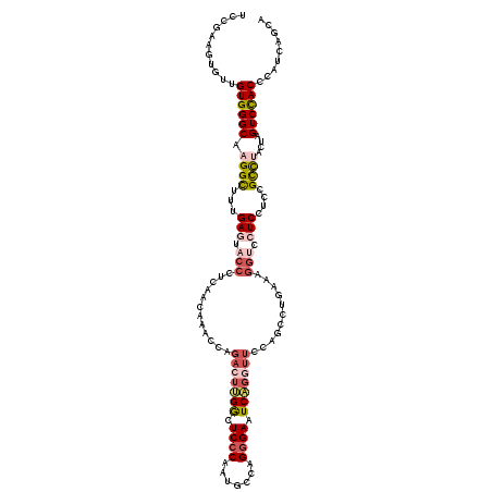 secondary structure