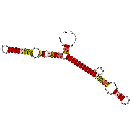 secondary structure