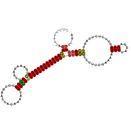 secondary structure