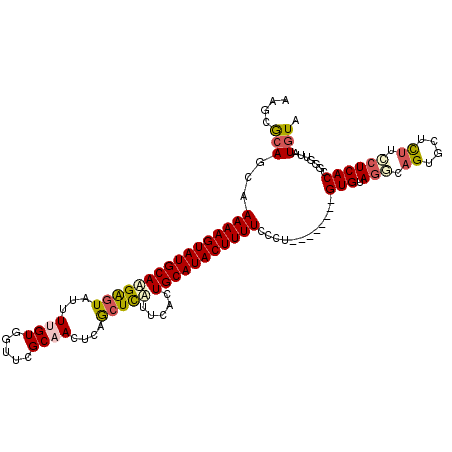 secondary structure
