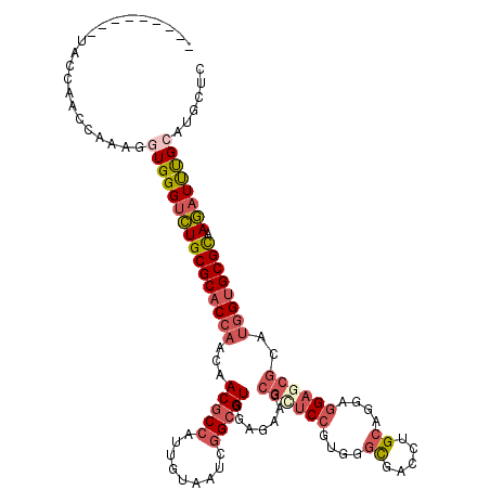 secondary structure