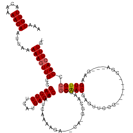 secondary structure