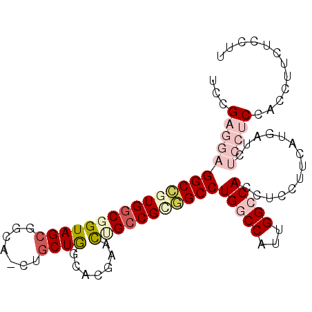 secondary structure