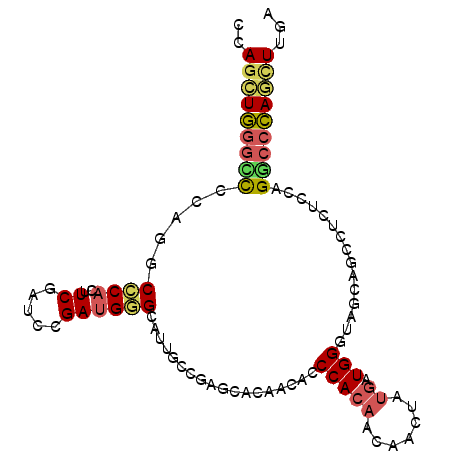 secondary structure