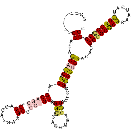 secondary structure