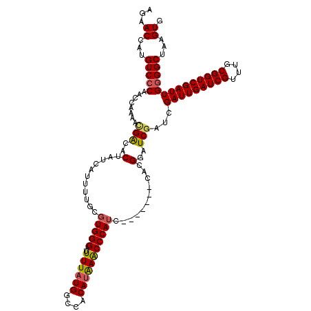 secondary structure