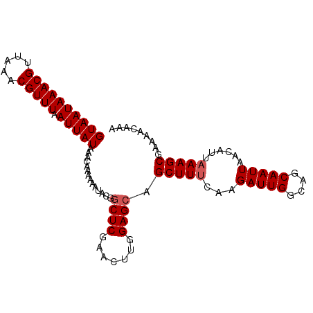 secondary structure
