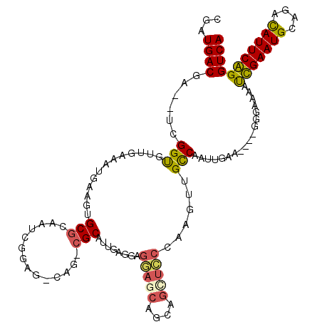 secondary structure