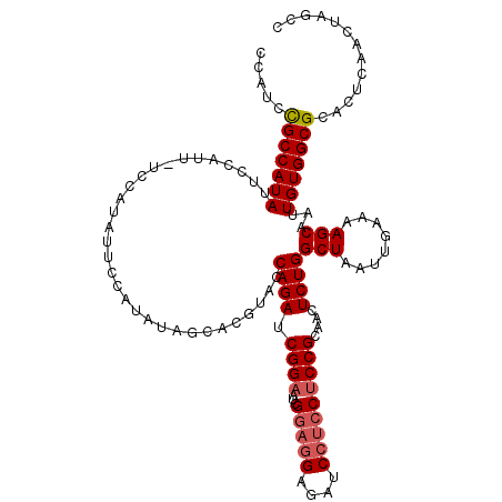 secondary structure