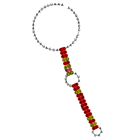 secondary structure