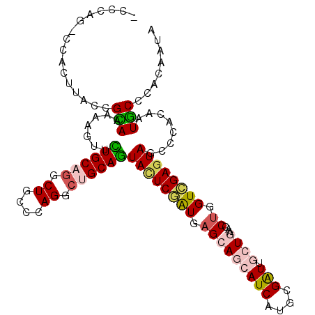 secondary structure