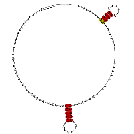 secondary structure