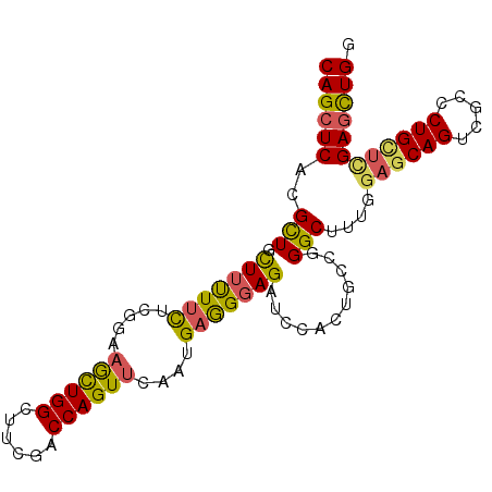 secondary structure