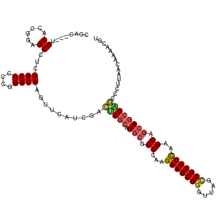 secondary structure
