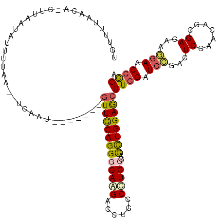 secondary structure