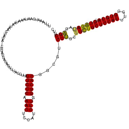 secondary structure