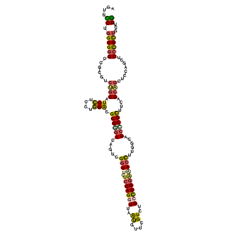secondary structure