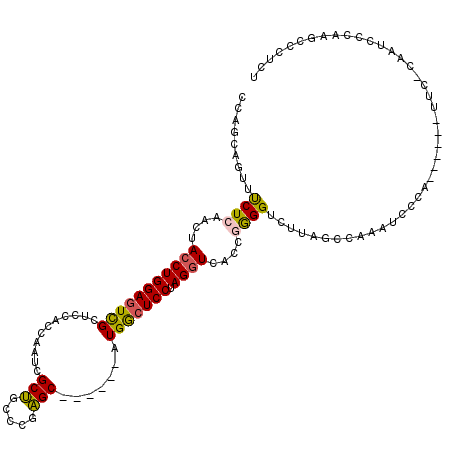 secondary structure
