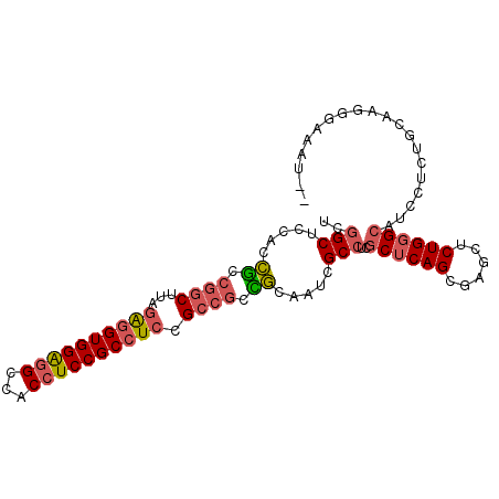 secondary structure