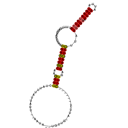 secondary structure