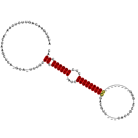 secondary structure