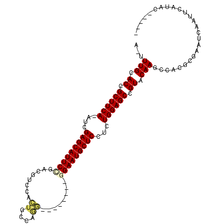 secondary structure