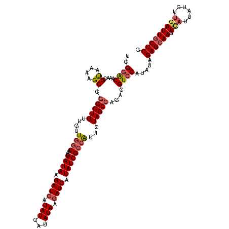 secondary structure