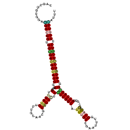 secondary structure