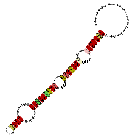 secondary structure