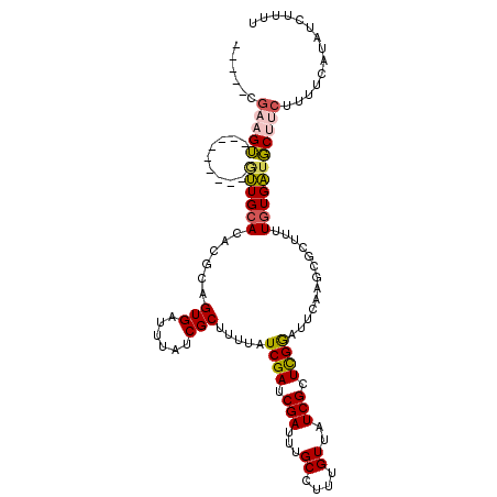 secondary structure