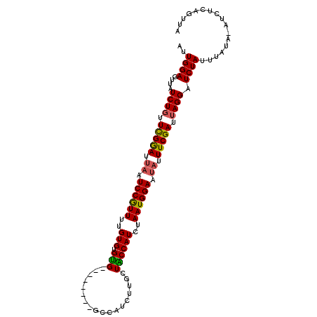 secondary structure