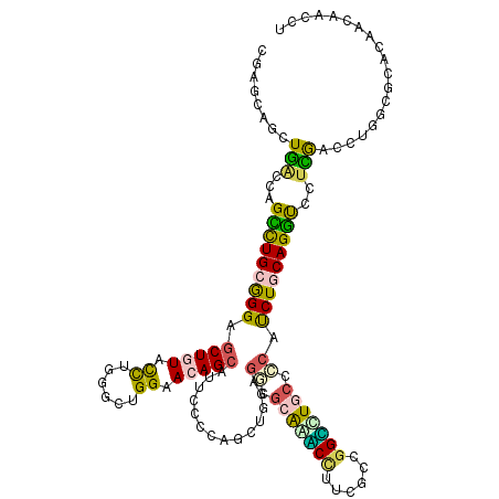 secondary structure