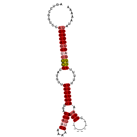 secondary structure