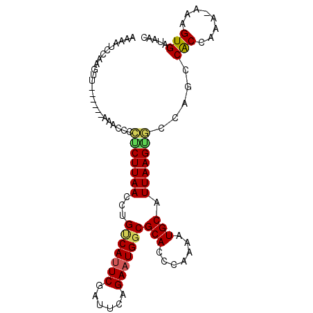 secondary structure