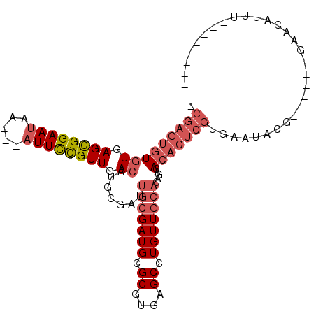 secondary structure