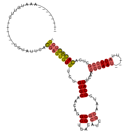 secondary structure