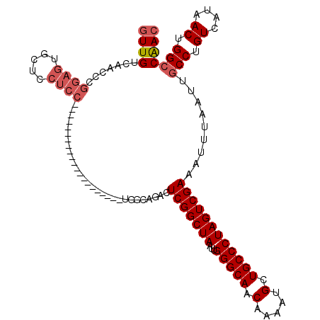 secondary structure