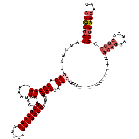 secondary structure