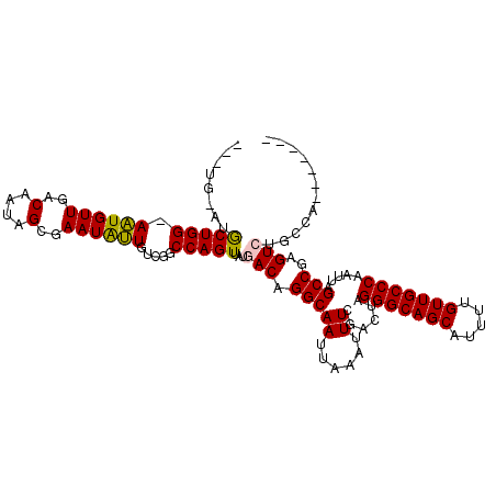 secondary structure