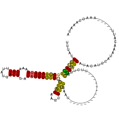 secondary structure