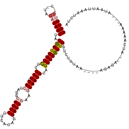 secondary structure