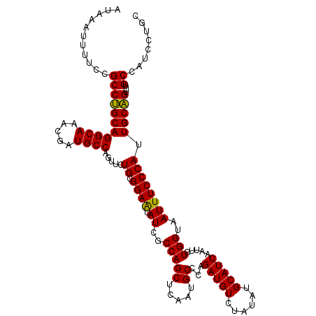 secondary structure