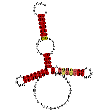 secondary structure