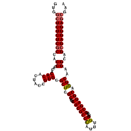 secondary structure