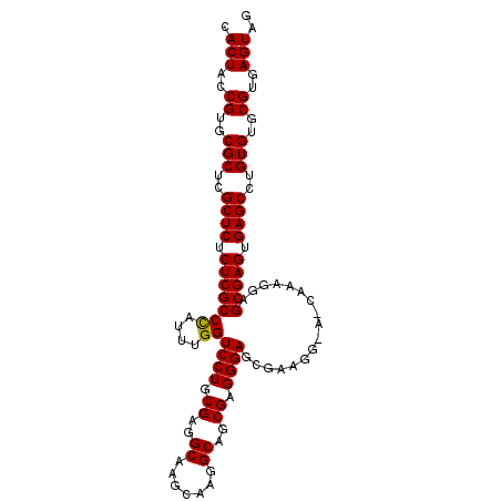 secondary structure