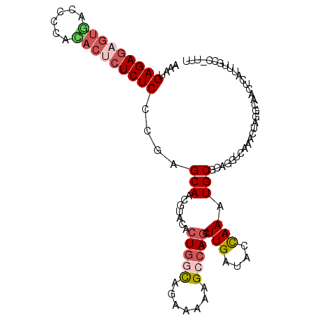 secondary structure