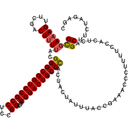 secondary structure